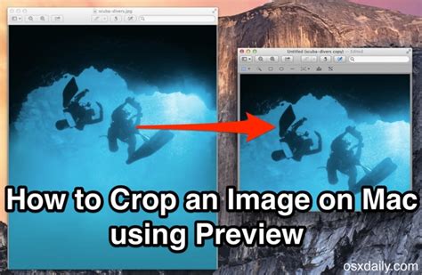 mac. preview crop button, How to crop an image in preview on mac (3 steps)