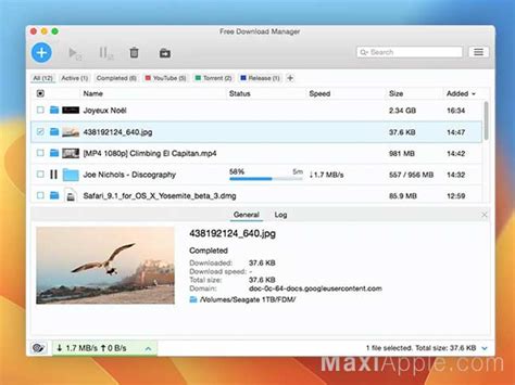 macos internet download manager, Macos internet download manager, png, 1110x744px, macos, apple, area