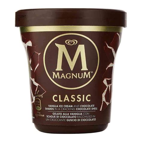 magnum ice cream pint