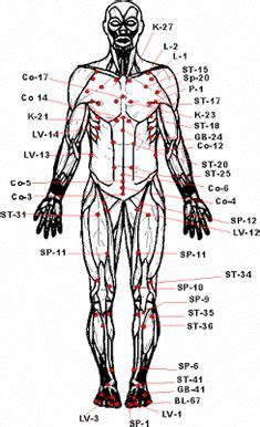 Martial Arts Pressure Points Chart