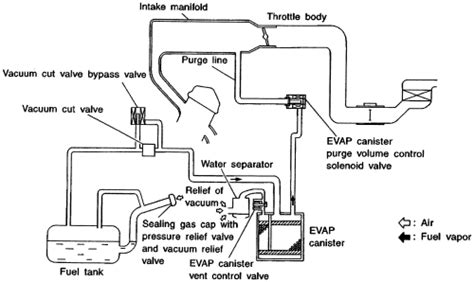 mercury sable evap system diagram 