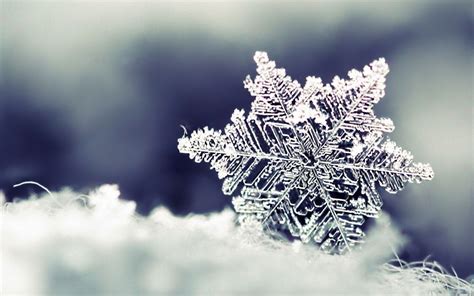 mesin kepingan salju: keajaiban musim dingin di telapak tangan Anda