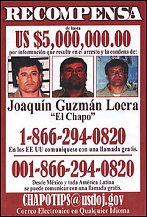 mexican cartel