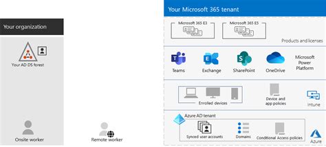 microsoft office 365 tenant, Arriba 93+ imagen exchange y office 365