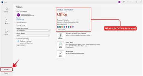 microsoft office customization tool 2021, Microsoft office 2021 professional plus download
