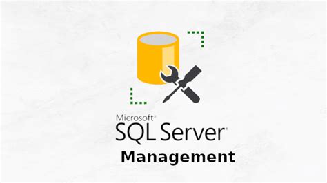 microsoft sql server, Learn data base basics: microsoft sql