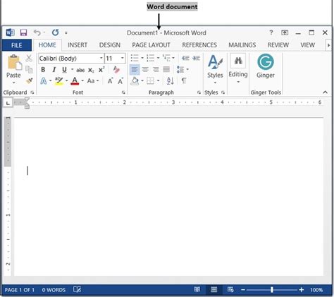 microsoft word processing, What is a word processor? key features and uses