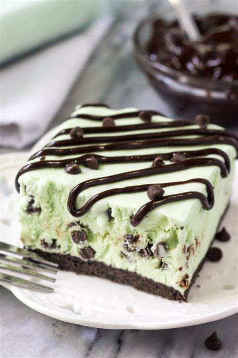 mint chocolate chip ice cream cake recipe