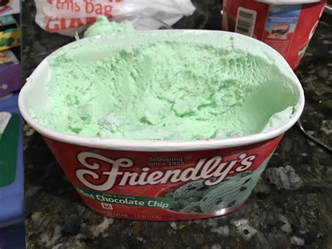 mint ice cream without chocolate chips