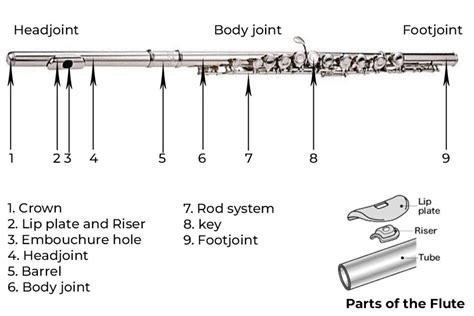 modern flute diagram 