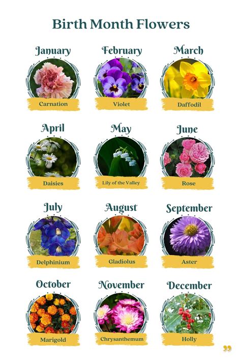 Monthly Birth Flower Chart