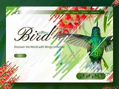 More Birds Website Catalog