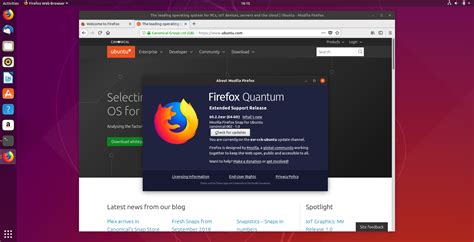 mozilla firefox ubuntu out of date, Mozilla firefox 61 