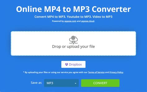 mp4 to mp3 converter mac, 7 best mp3 converters for mac in 2024