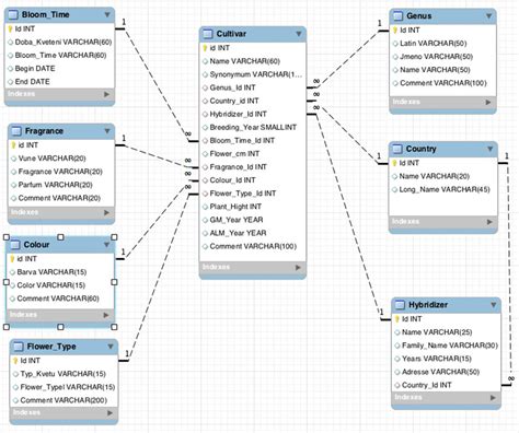 mysql er diagram 