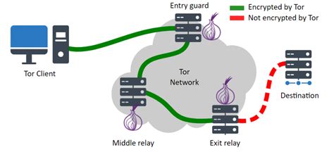 navegador tor como funciona, Navegador tor 】 ¿qué es y cómo funciona? 2024