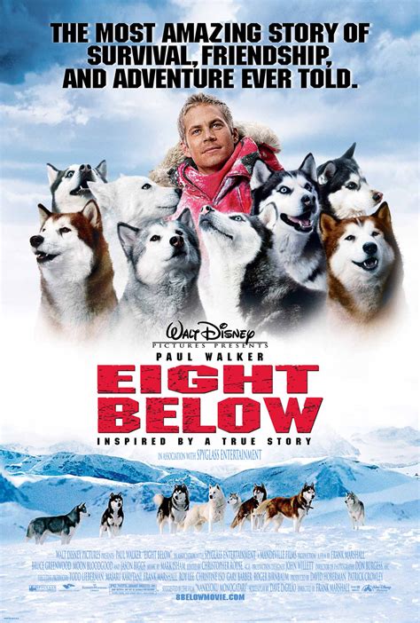 nedladdning Eight Below