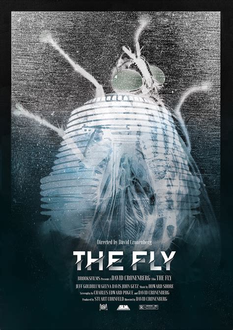 nedladdning The Fly