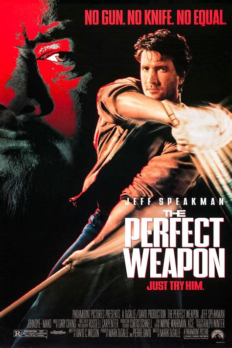 neu The Perfect Weapon