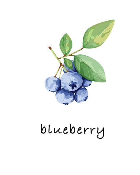 new Blueberry