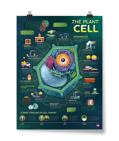 new Cell