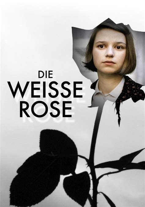 new Die weisse Rose