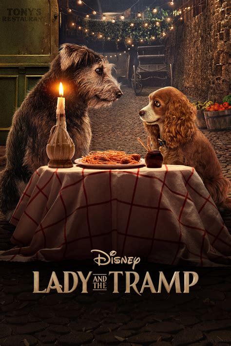 new Lady and the Tramp