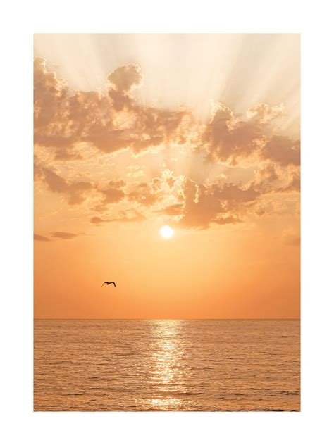 new Sunset