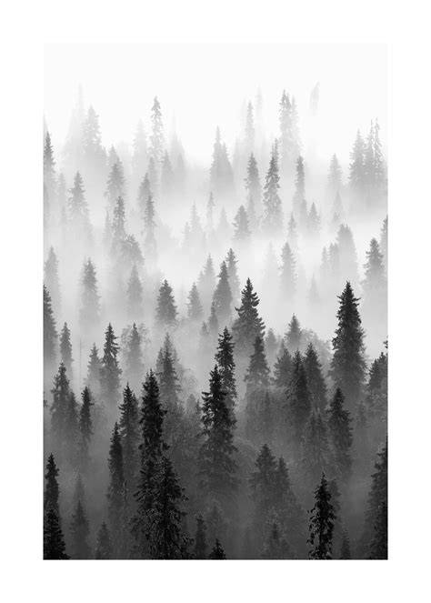 new The Fog