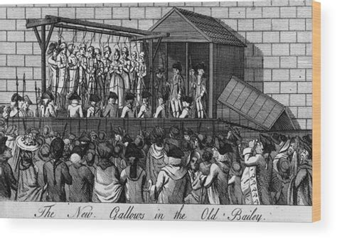 new The Gallows