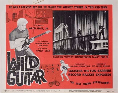 new Wild Guitar