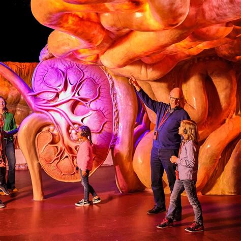 New War Corpus Walkthrough