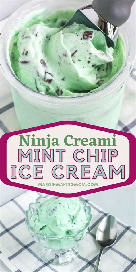 ninja creami mint chocolate chip ice cream
