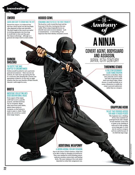 ninja fighter