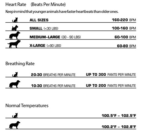 Normal Dog Heart Rate Chart