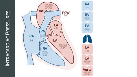 normal heart pressures diagram 
