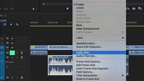 normalize audio premiere pro, How to normalize audio in premiere pro (2022). How to normalize audio in premiere pro (2023)