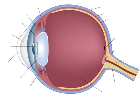 not of the eye diagram labeled easy 