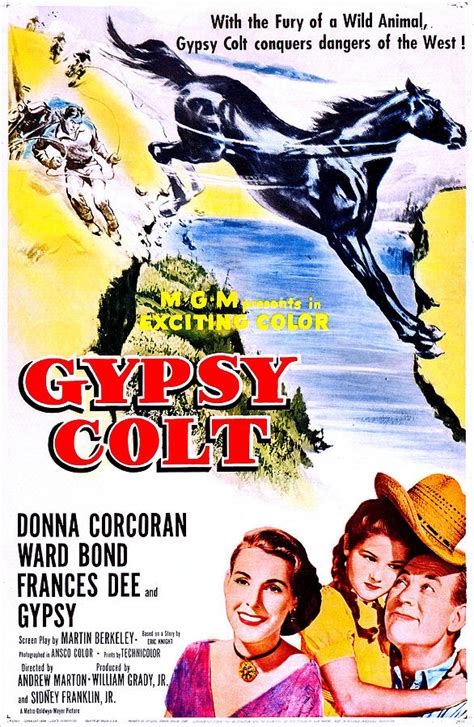 nouveau Gypsy Colt