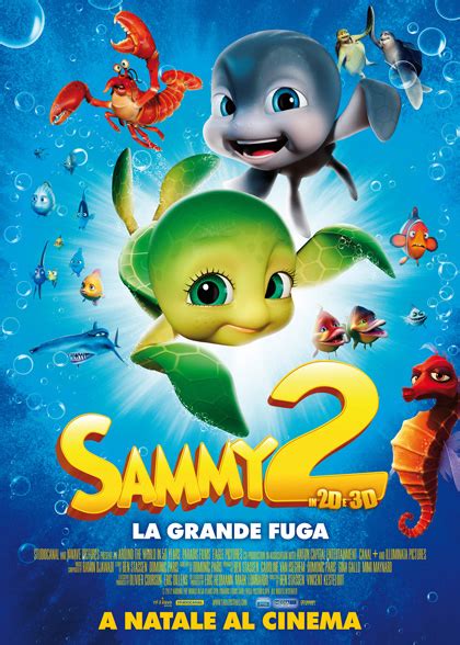 nouveau Sammy 2
