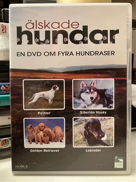 ny Älskade hundar