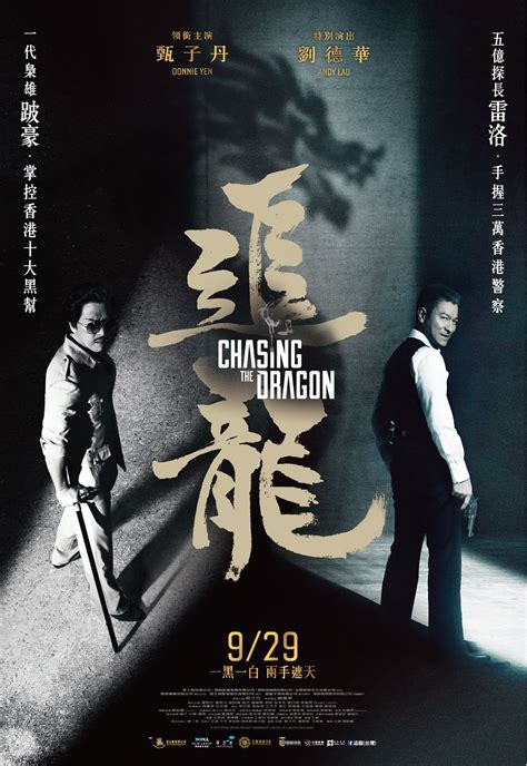 ny 追龍