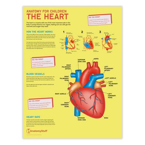 ny Dear Heart