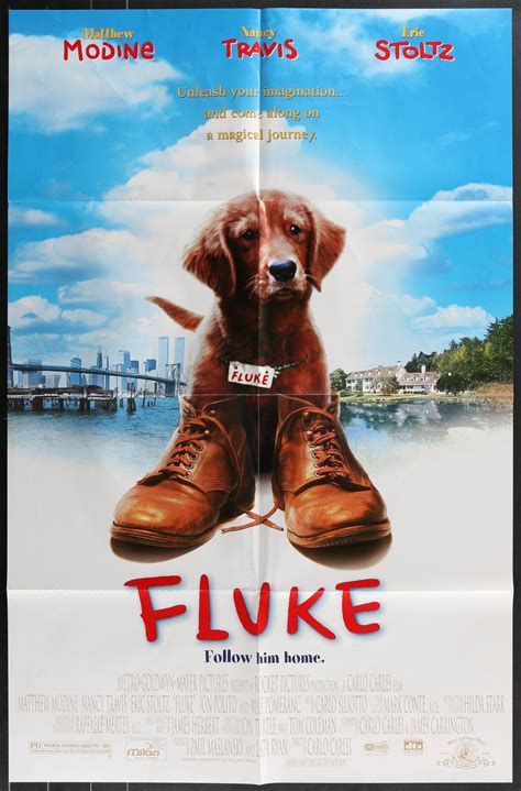 ny Fluke