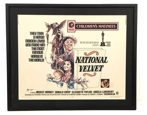 ny National Velvet