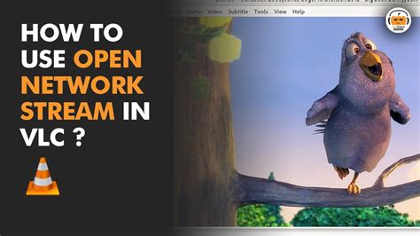 open network stream media player, Leawo vlc. Detailed introduction to m3u8 file & how to download m3u8 file