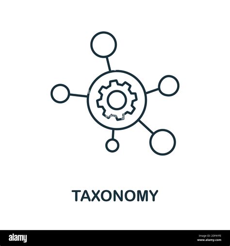 open source taxonomy icon, Taxonomy generic blue icon