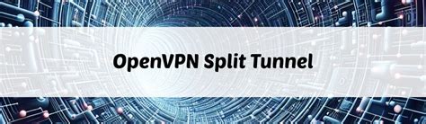 openvpn split tunnel dns, Openvpn tunnel routing. Openvpn tunnels and bridges