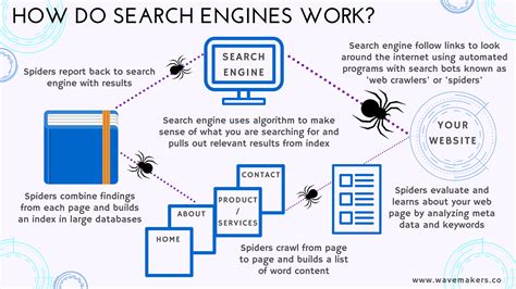 or function in search engines, How search engines function