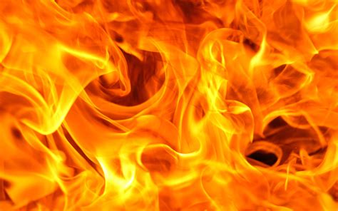 orange fire background, Red orange fire background